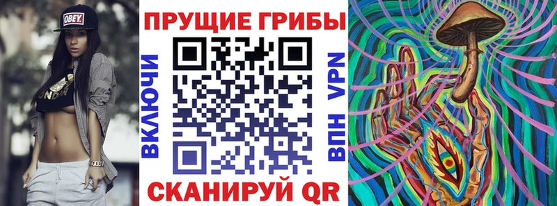 купить закладку  Грайворон  Псилоцибиновые грибы мухоморы 