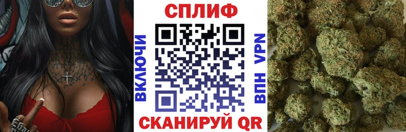 цена   Грайворон  Канабис сатива 